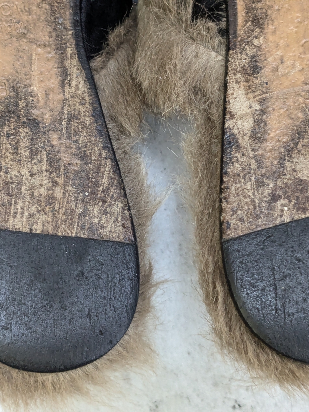 Gucci Princetown Horsebit Loafers Black Snake Fur Leather Mules - Picture 14 of 14